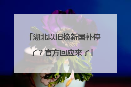 湖北以旧换新国补停了？官方回应来了